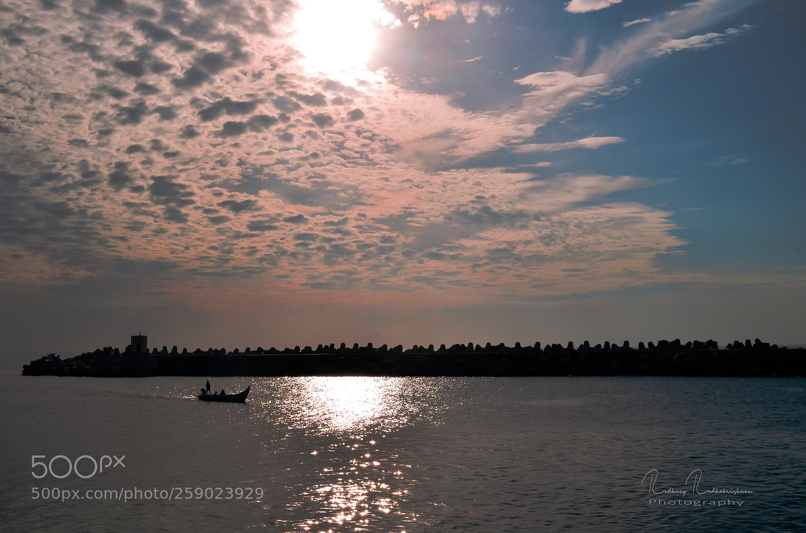 Nikon D5100 sample photo. Kasimedu photography