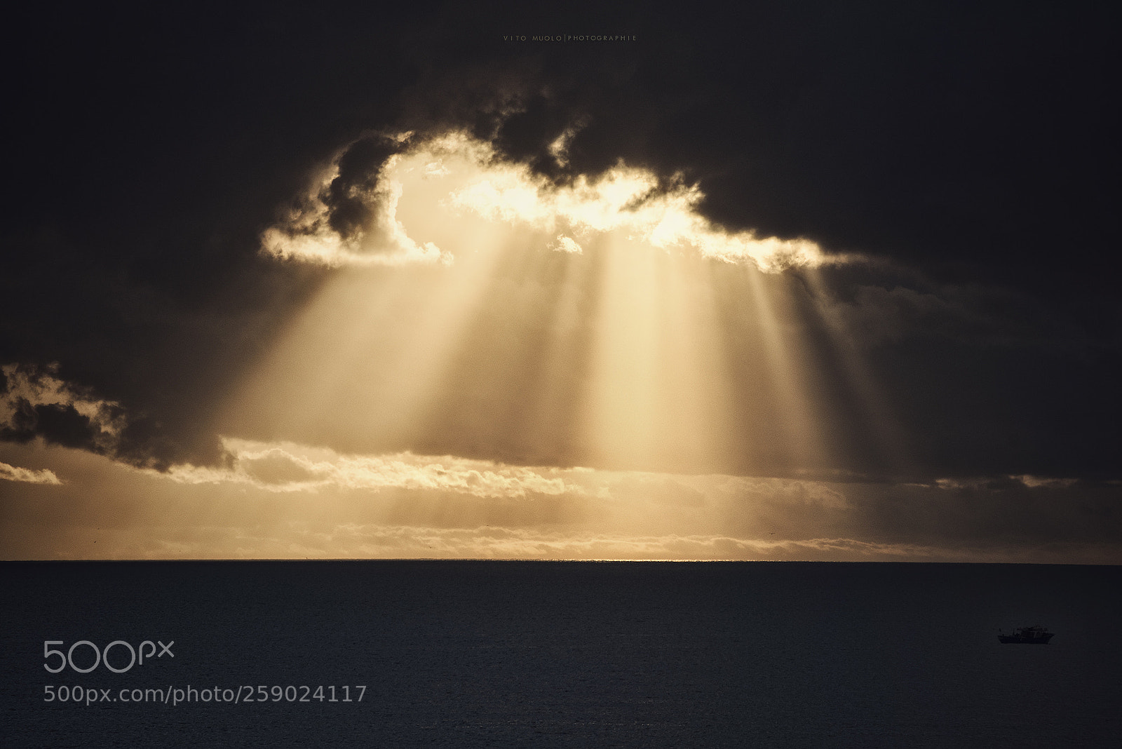 Nikon D750 sample photo. Il ruggito del mattino photography