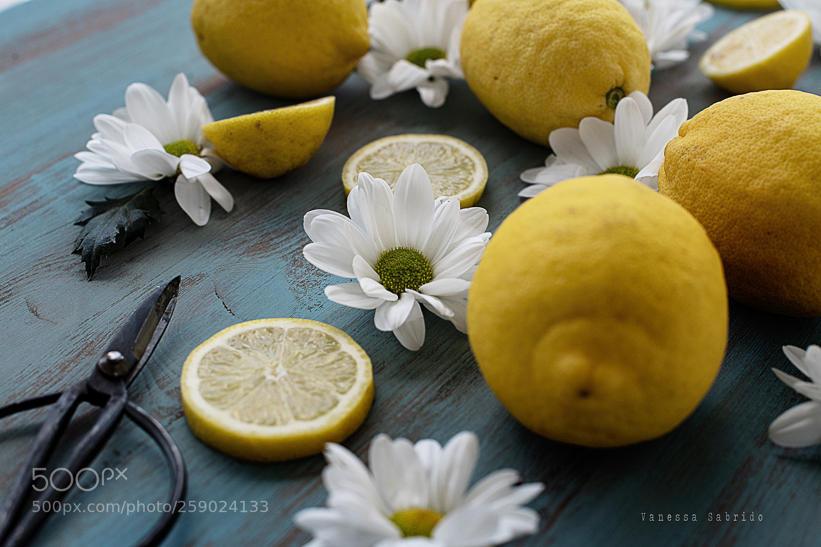 Nikon D850 sample photo. Lemon photography