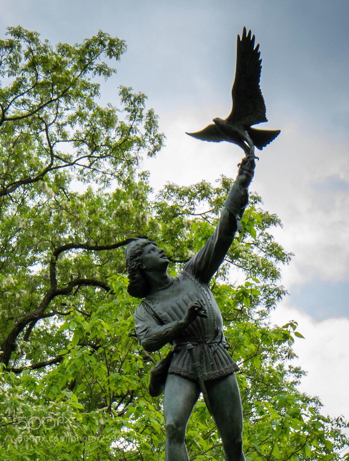 Nikon D500 sample photo. Untitled photography