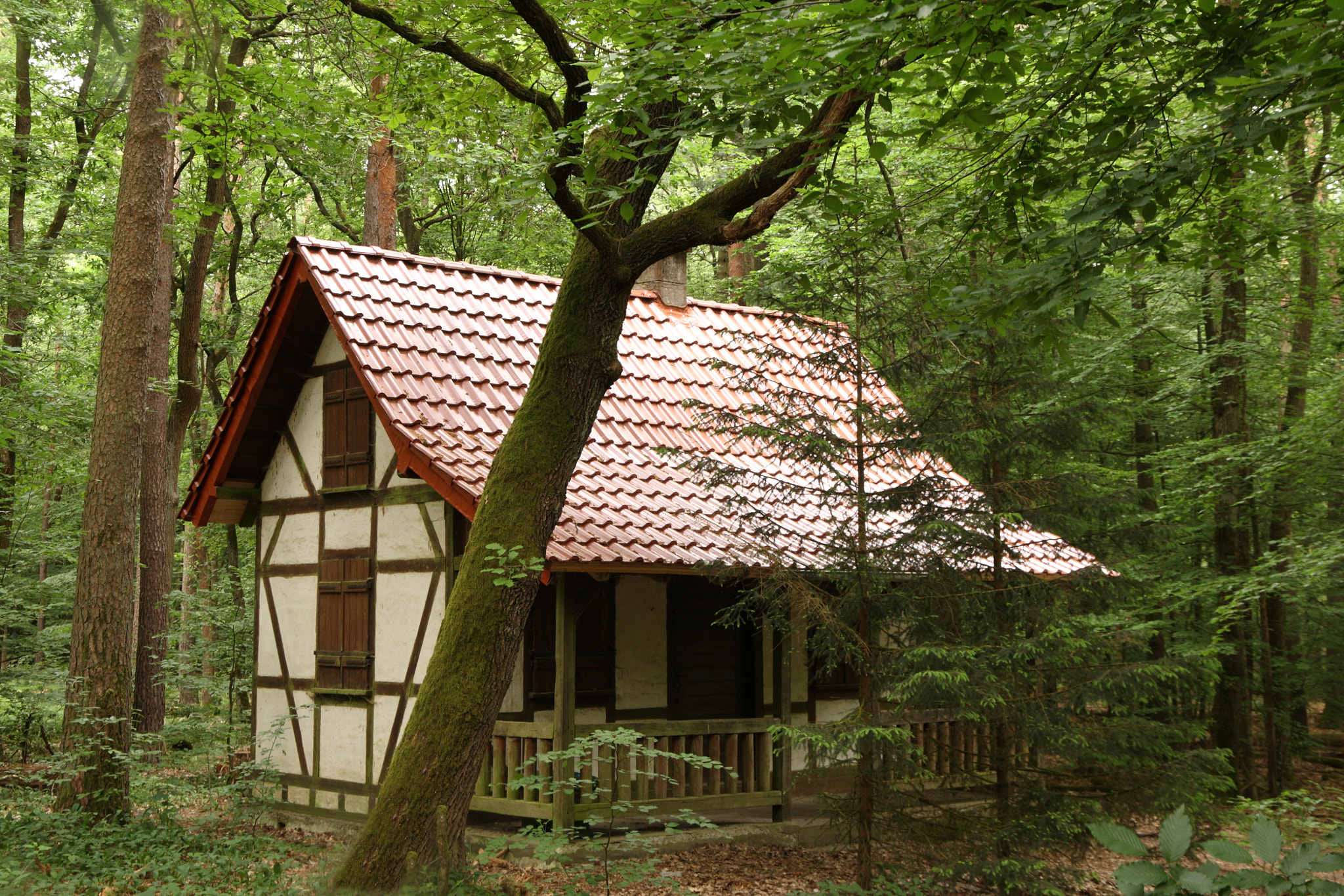 Canon EOS 5D sample photo. Cabin in the forest photography