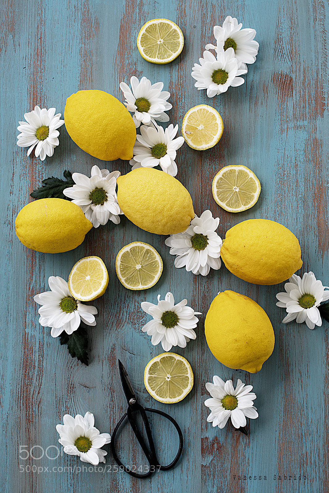 Nikon D850 sample photo. Lemon photography