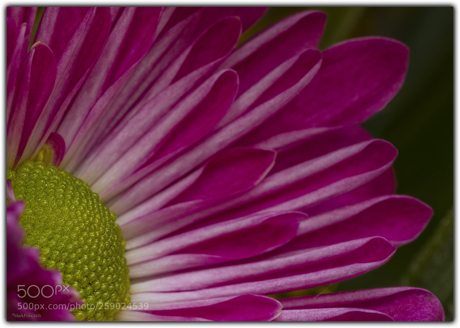Canon EOS 7D sample photo. Centrifugal spring photography