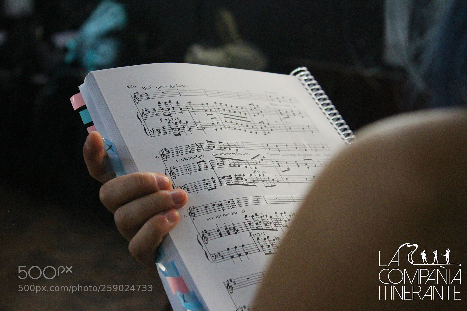 Canon EOS 600D (Rebel EOS T3i / EOS Kiss X5) sample photo. La compa ia itinerante photography