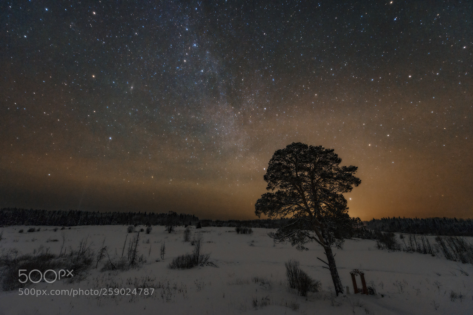 Nikon D600 sample photo. Komi permyak night photography