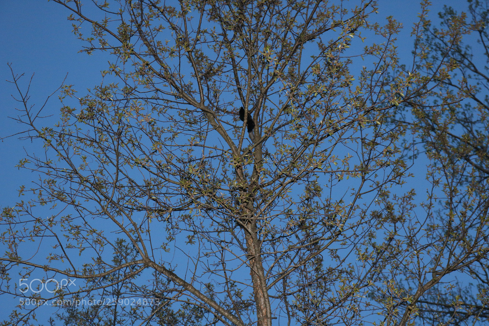 Canon EOS 750D (EOS Rebel T6i / EOS Kiss X8i) sample photo. Img photography