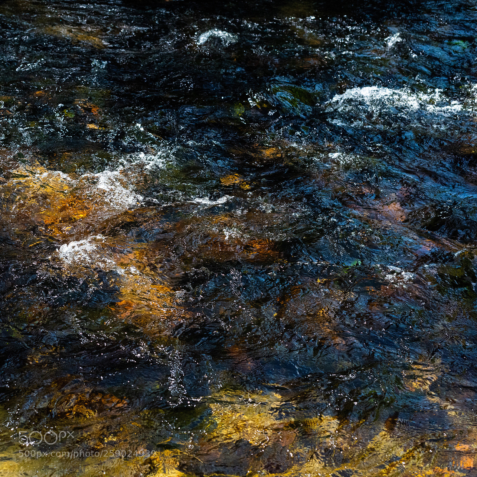 Nikon D810 sample photo. Golitha sq lll photography