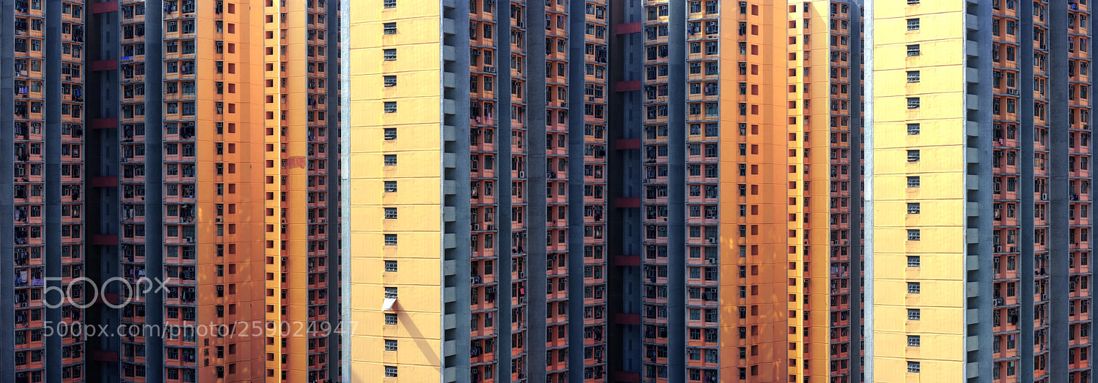 Nikon D810 sample photo. Endless hong kong photography