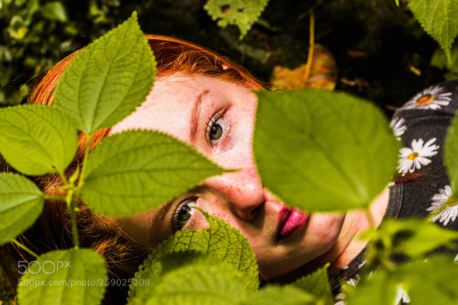 Canon EOS 600D (Rebel EOS T3i / EOS Kiss X5) sample photo. Redhead and nature photography