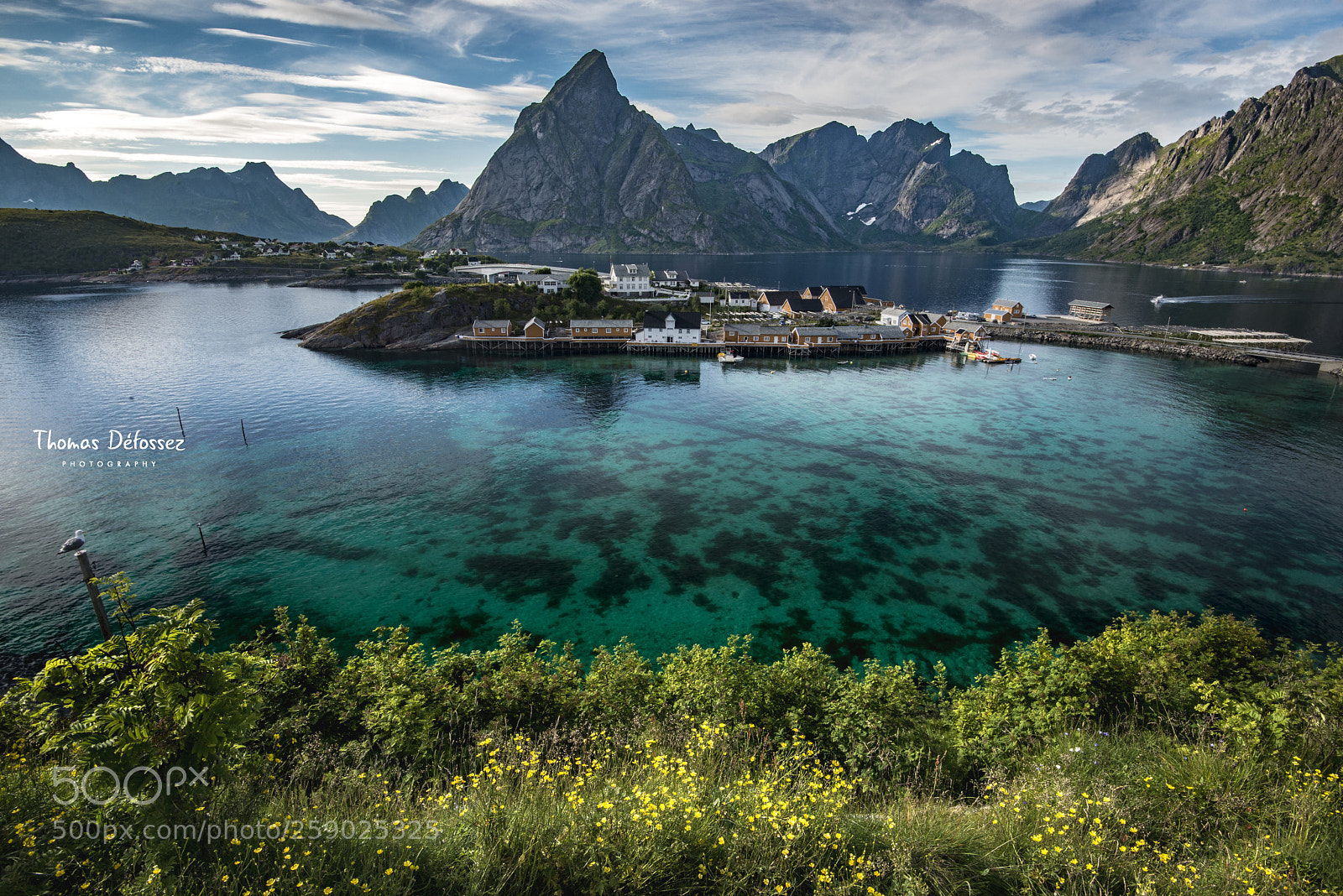 Nikon D800E sample photo. Reine photography