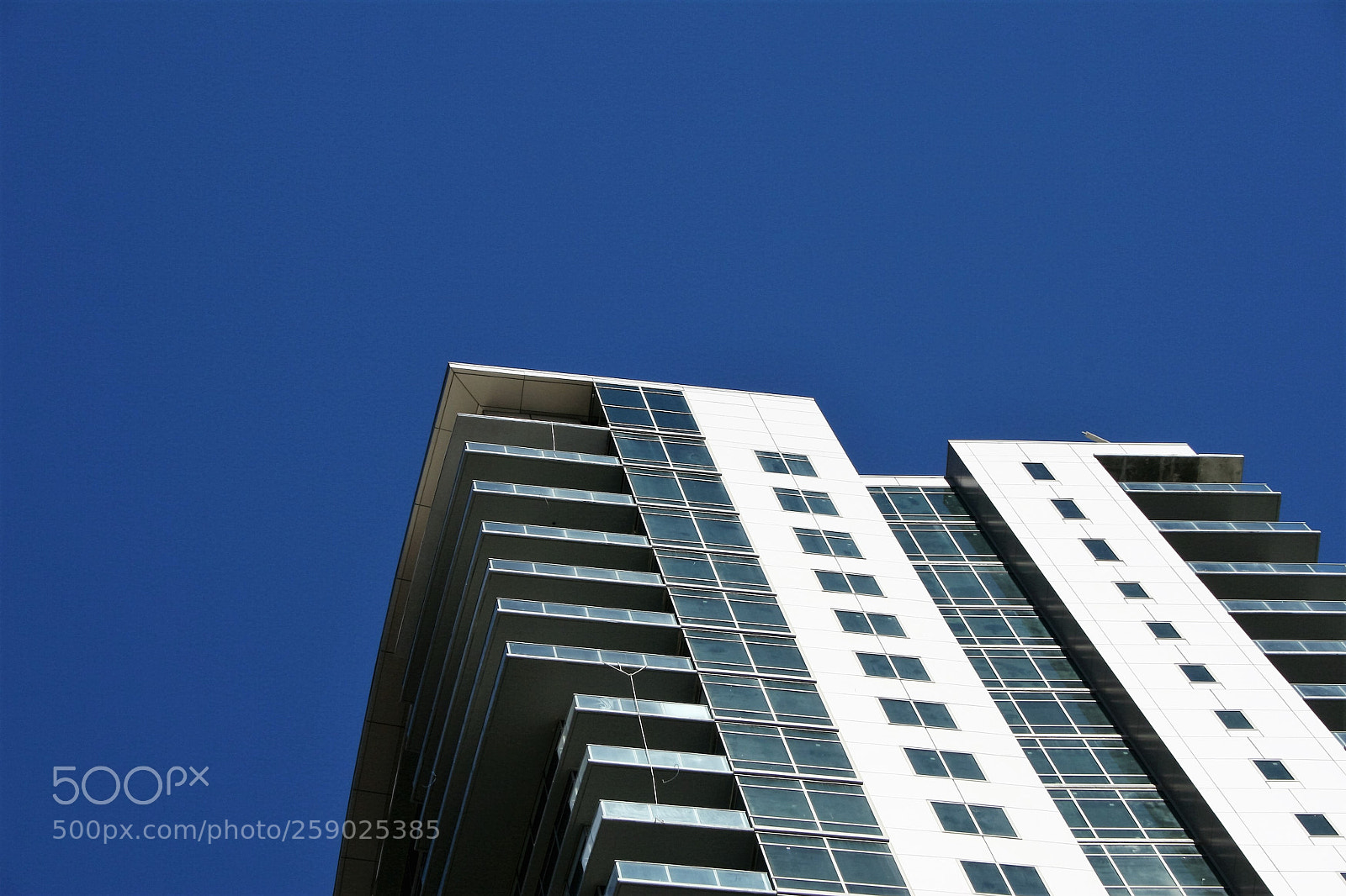 Canon EOS 20D sample photo. Img photography