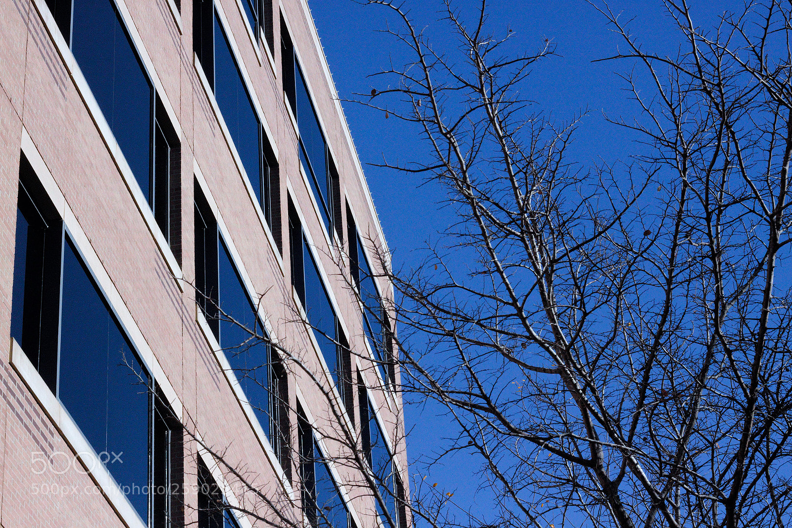 Canon EOS 50D sample photo. () photography
