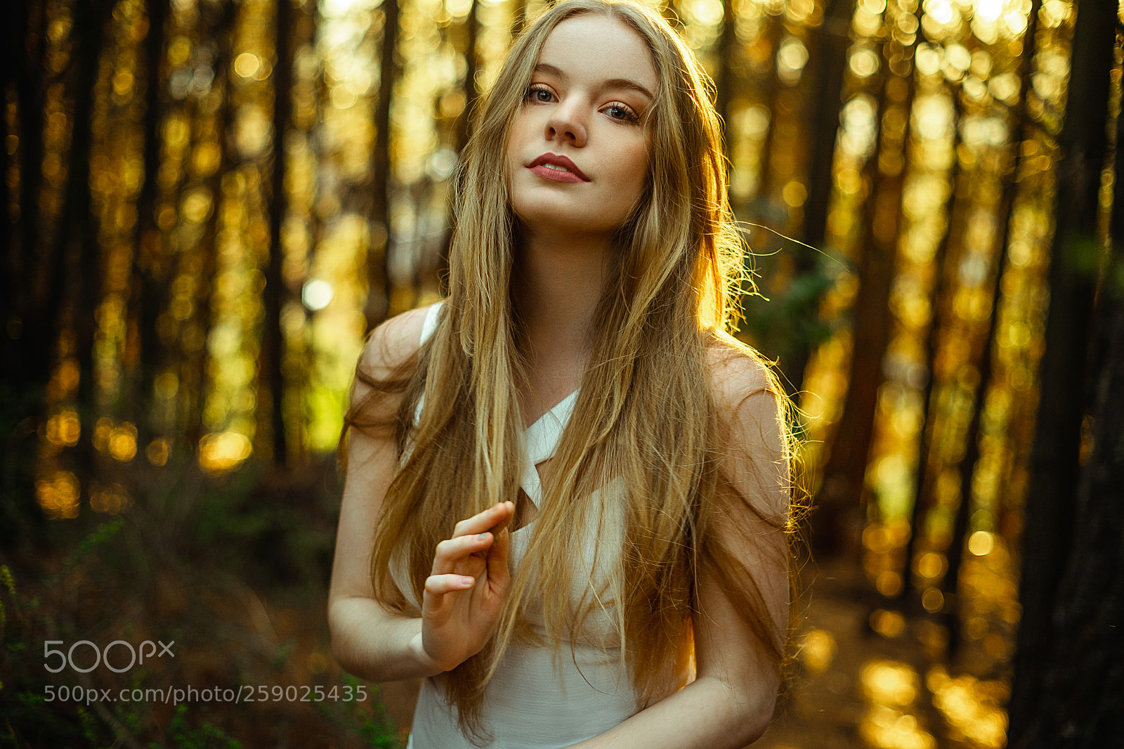 Sony a7 II sample photo. Cande photography