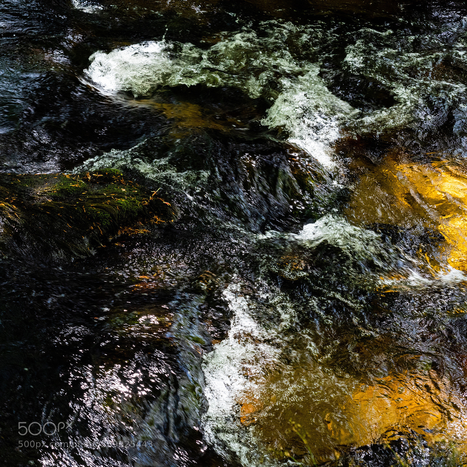 Nikon D810 sample photo. Golitha sq v photography