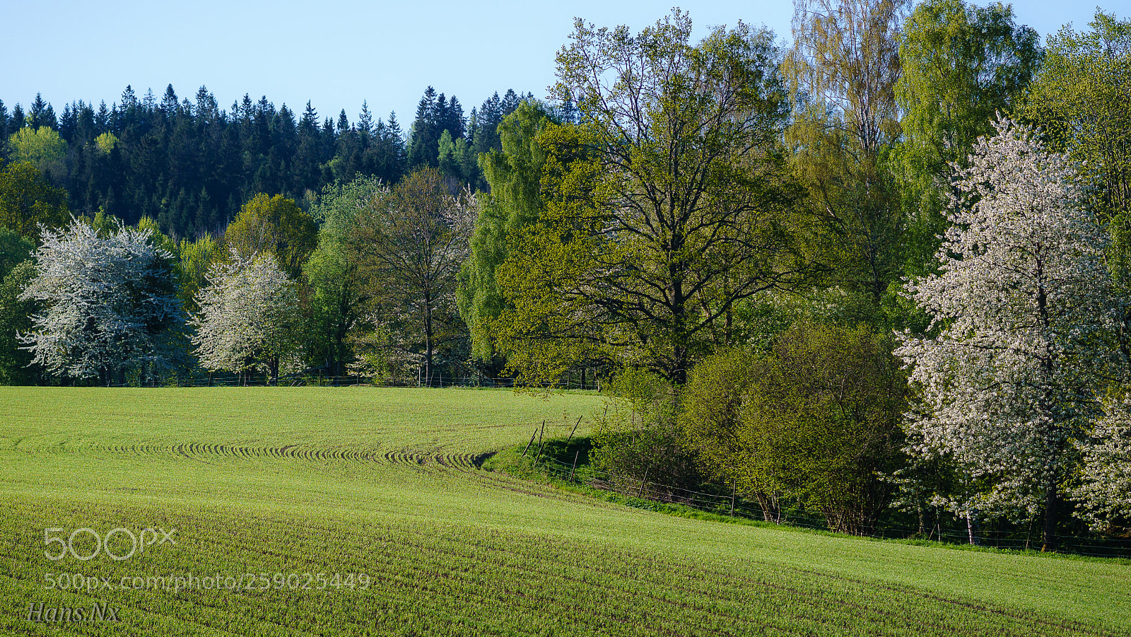 Sony a6000 sample photo. . photography