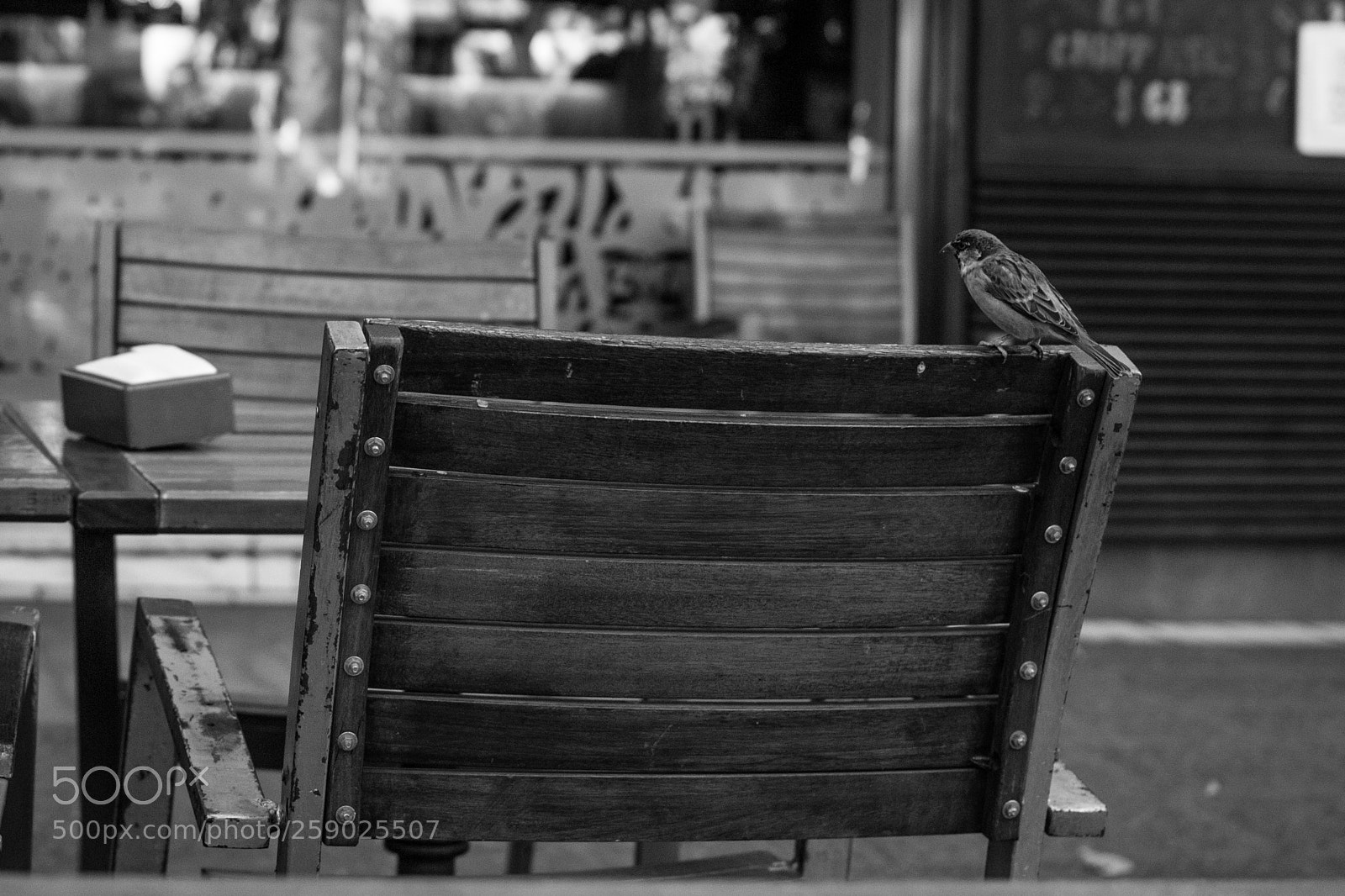 Nikon D3100 sample photo. Table for one photography