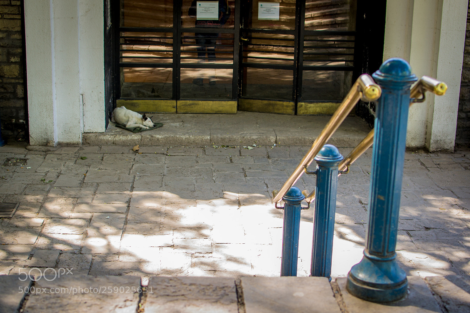 Nikon D3100 sample photo. Stairs photography
