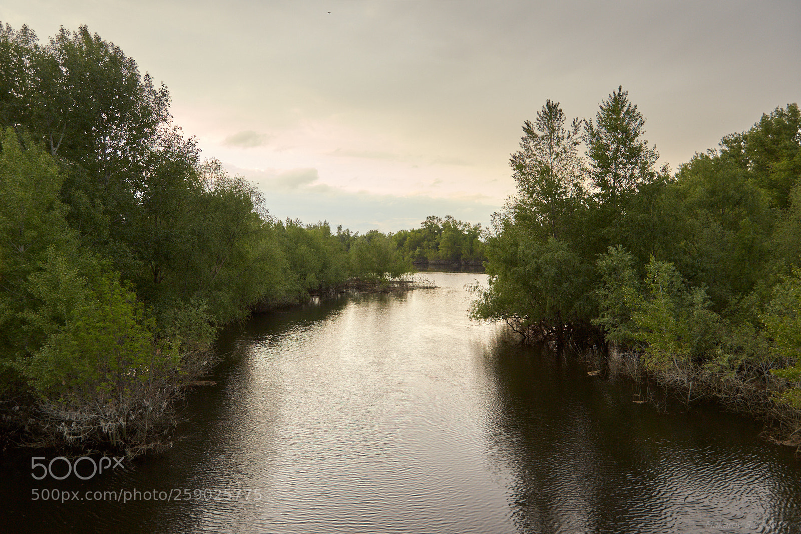 Canon EOS 6D sample photo. The volga-akhtuba floodplain photography