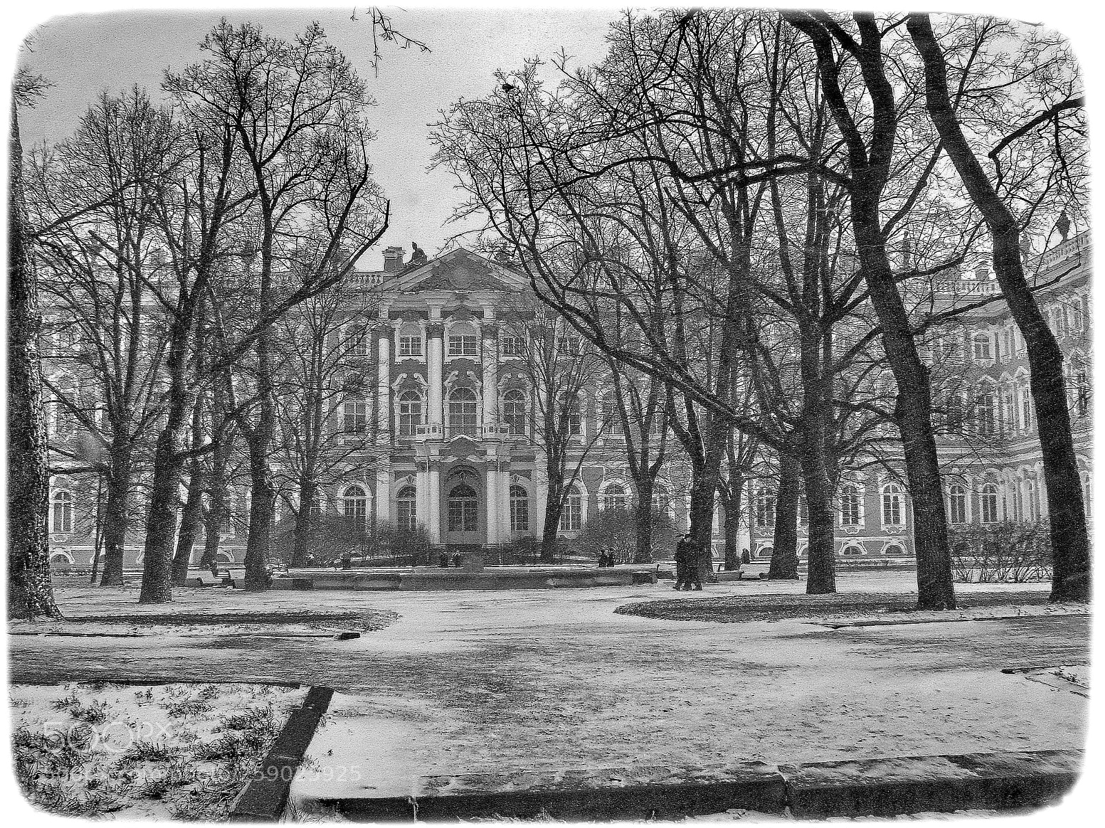 Canon POWERSHOT S5 IS sample photo. The hermitage, the winter photography