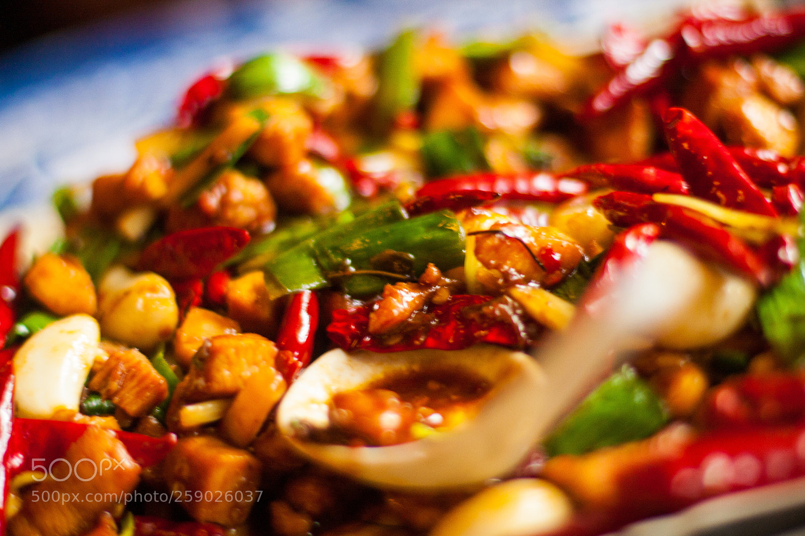Canon EOS 40D sample photo. Szechuan dish photography