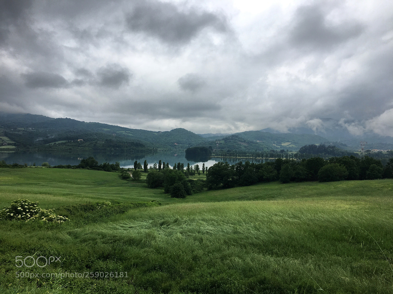 Apple iPhone 6s sample photo. Green cloudly photography