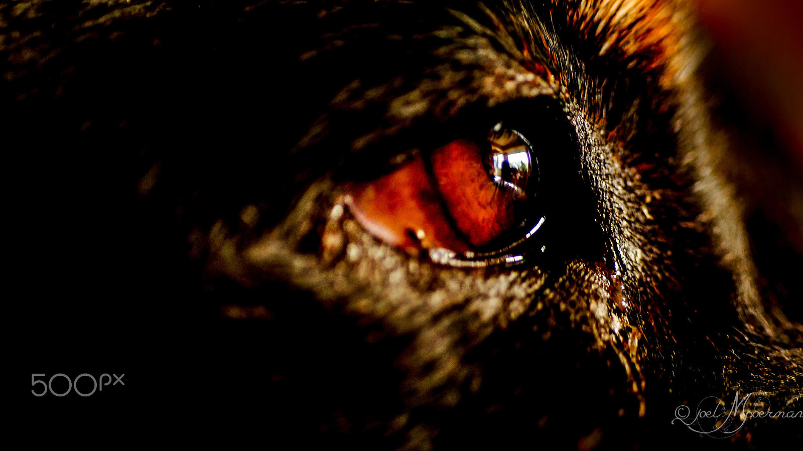 Sony SLT-A57 sample photo. Uncanny ! photography