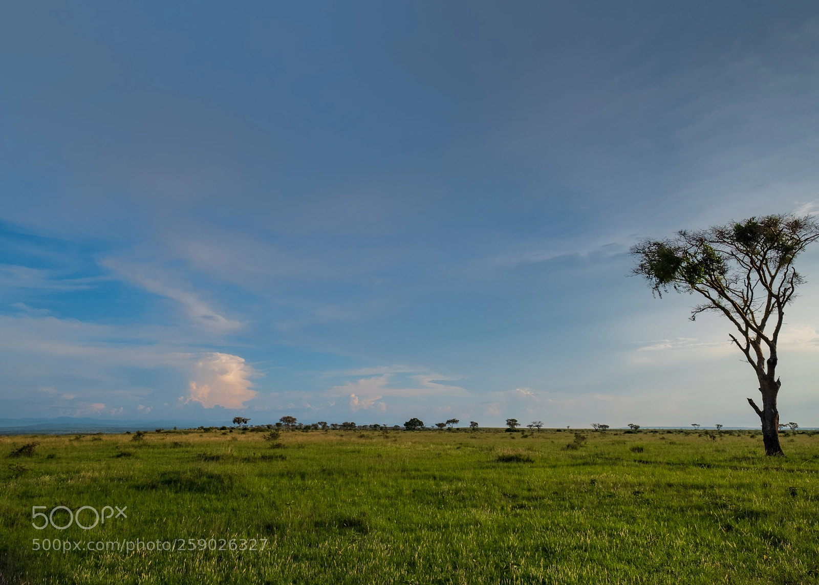 Fujifilm X-T2 sample photo. Farewell to uganda 2 photography