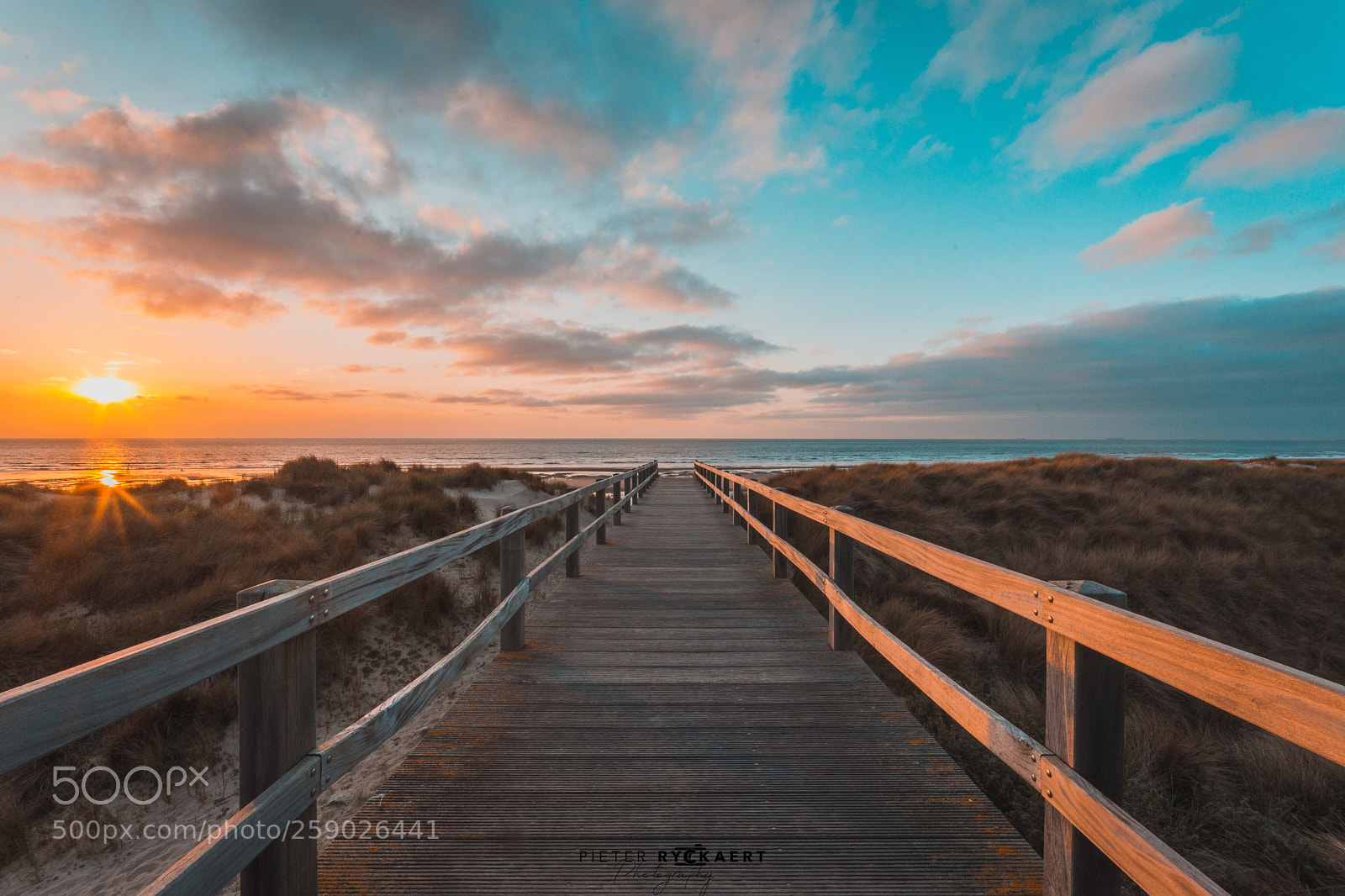 Nikon D7200 sample photo. Walk to sunset photography