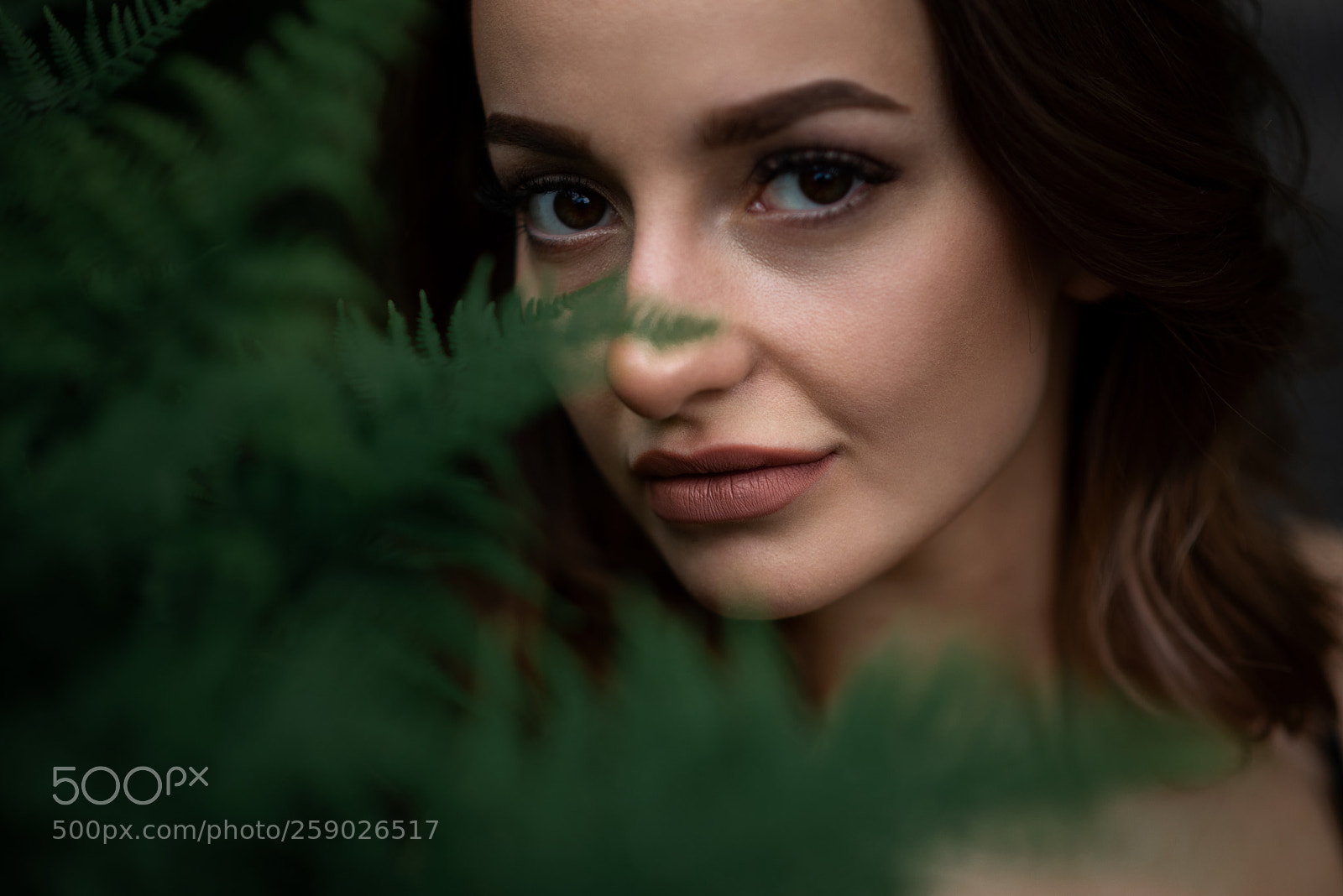 Nikon D750 sample photo. #dasha photography