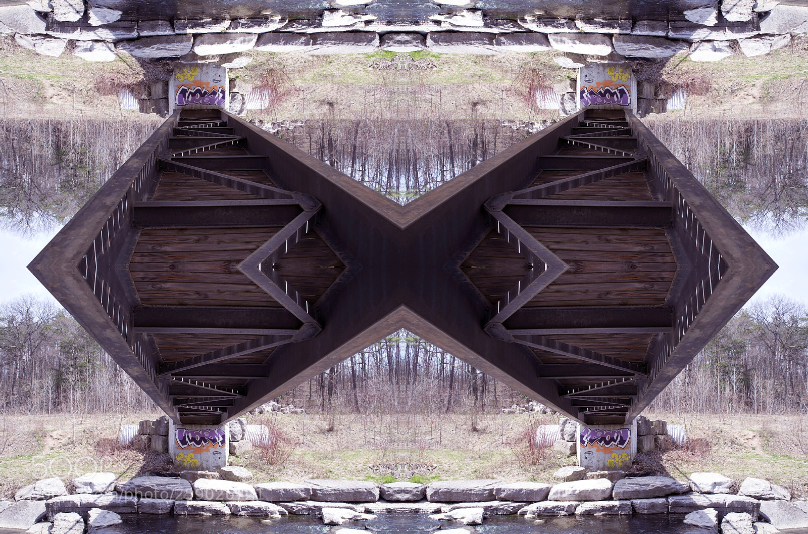 Nikon D3100 sample photo. Kaleidoscopic photography