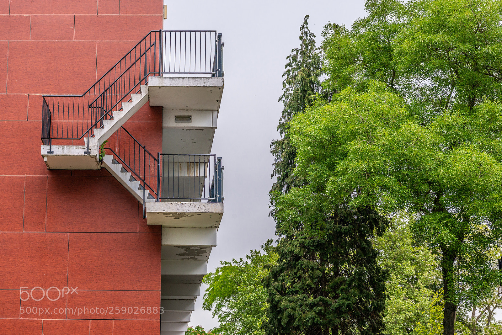 Nikon D800 sample photo. Escape route photography