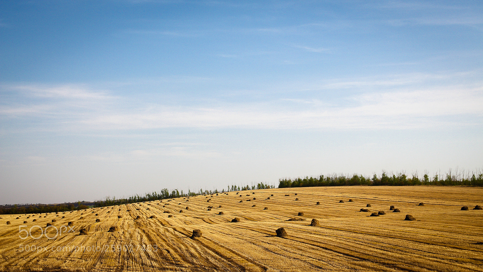 Canon EOS 650D (EOS Rebel T4i / EOS Kiss X6i) sample photo. Field photography