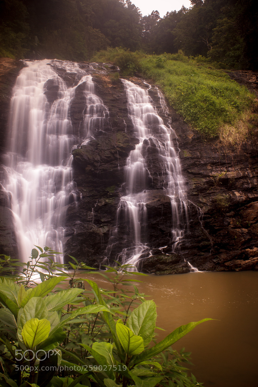 Canon EOS 600D (Rebel EOS T3i / EOS Kiss X5) sample photo. Abbey falls photography