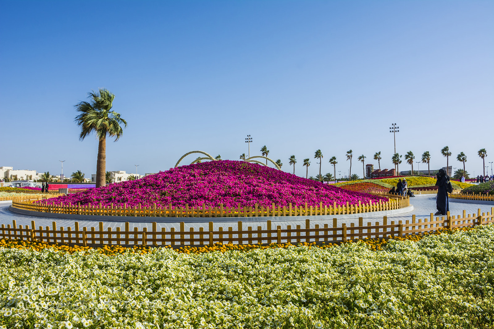 Nikon D7100 sample photo. Yanbu flower show photography