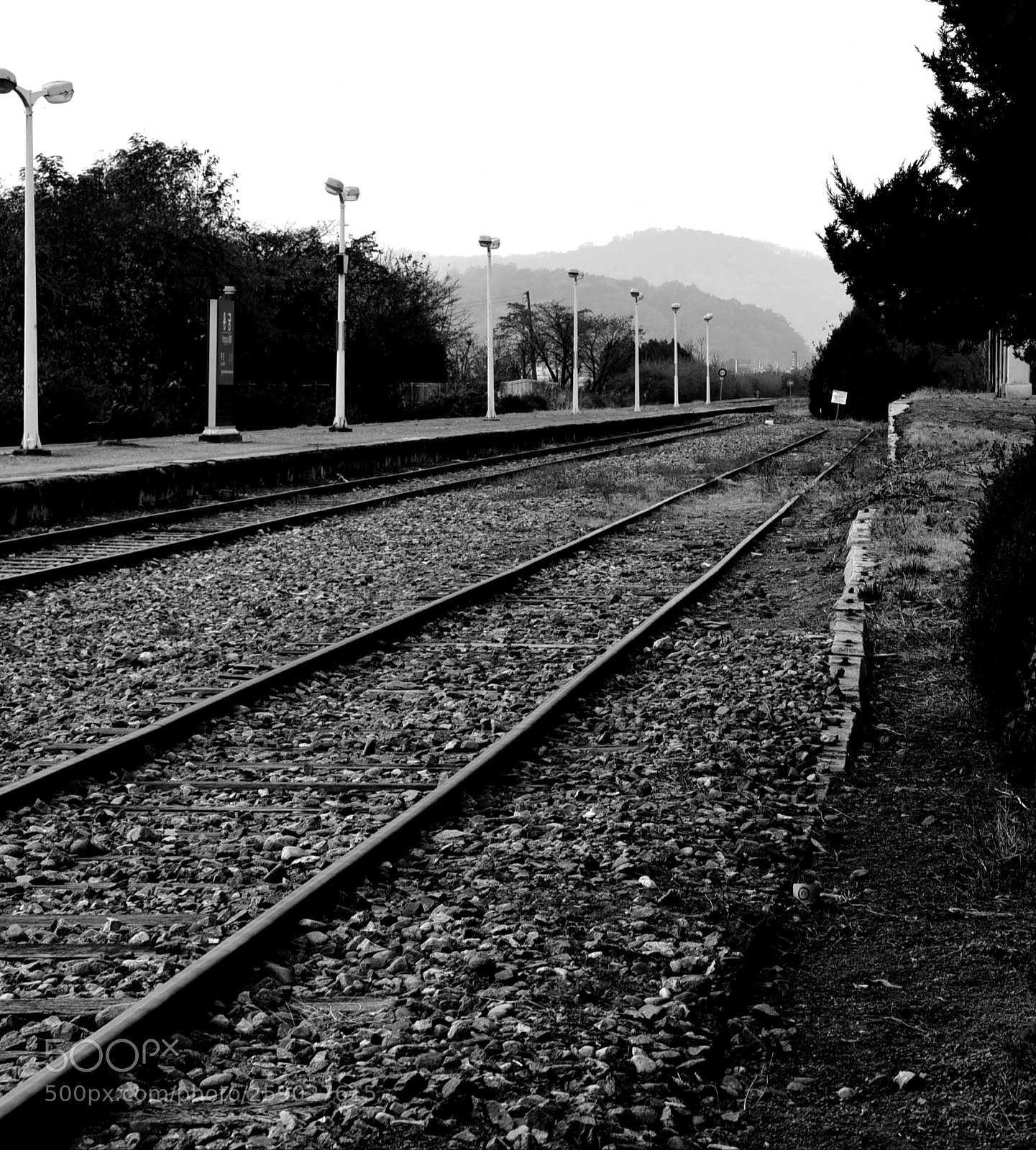 Nikon D750 sample photo. Go a long way photography