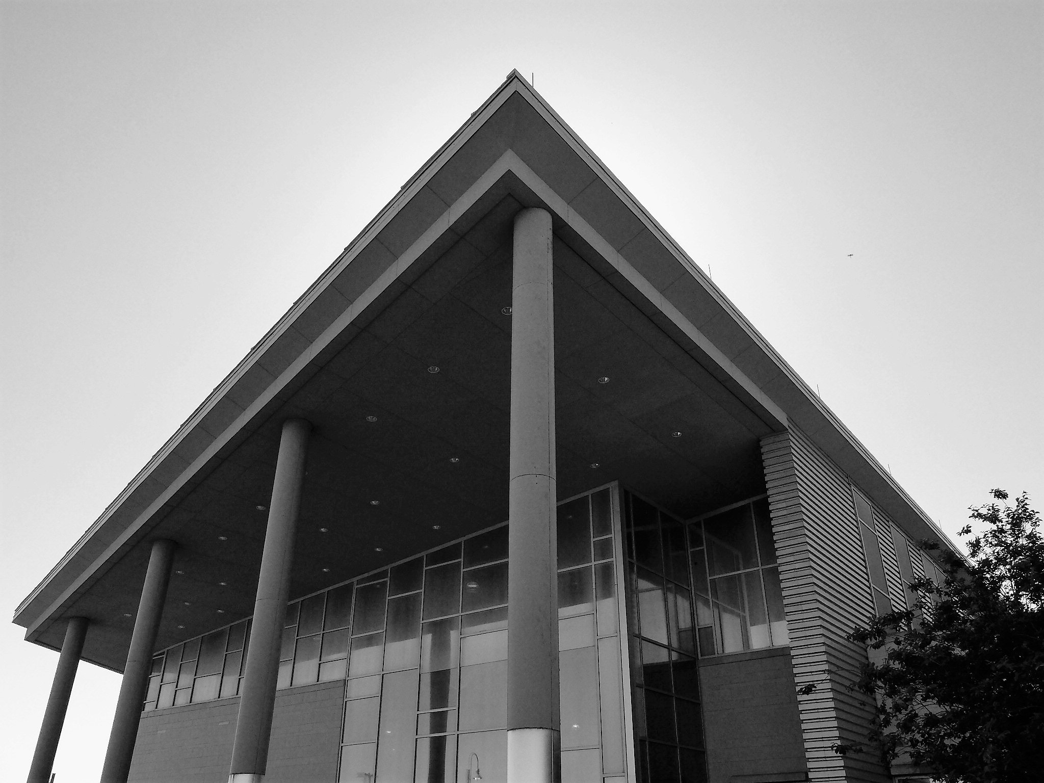Fujifilm X20 sample photo. Hcc southwest photography