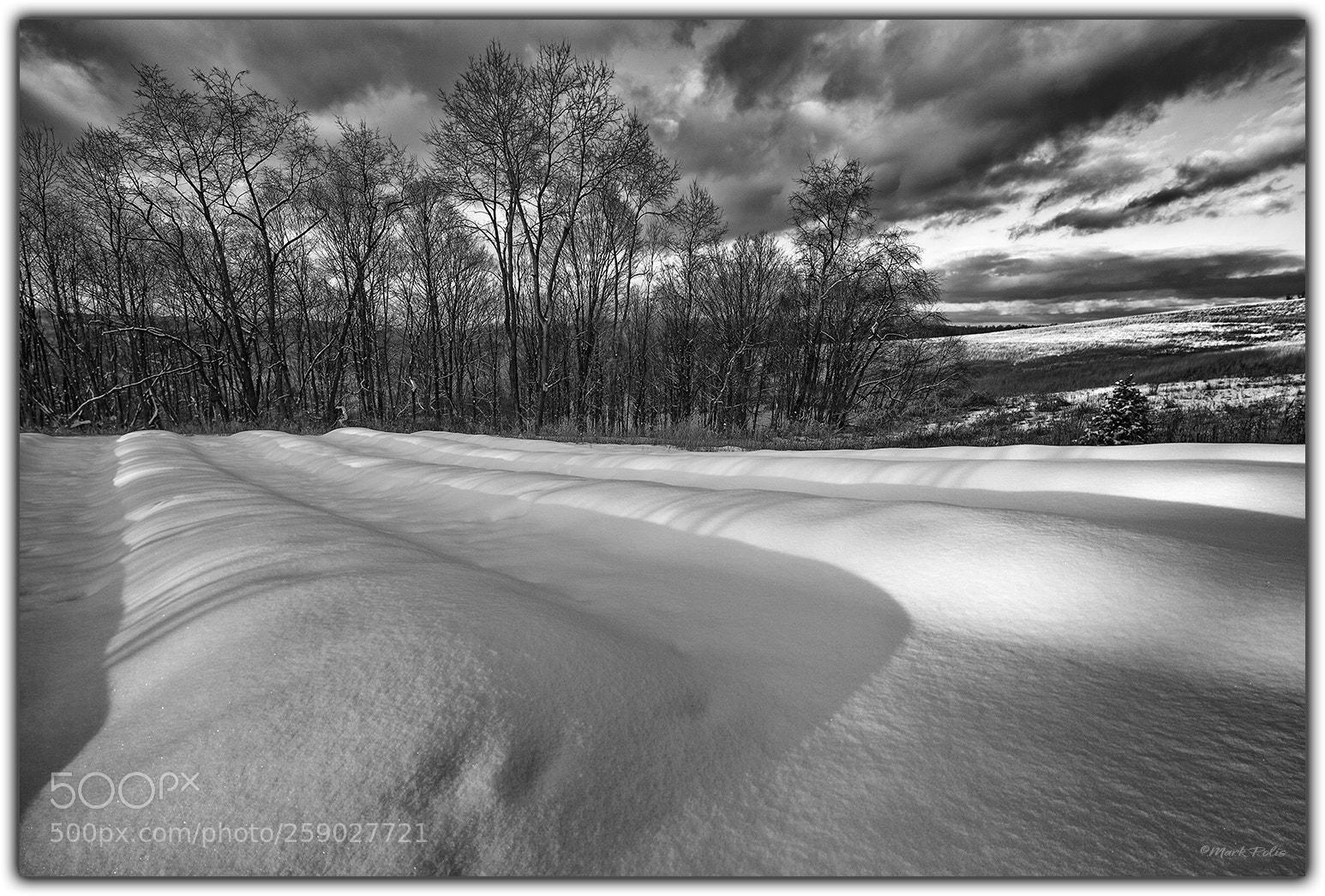 Canon EOS-1Ds Mark III sample photo. Convergence by nature mono photography