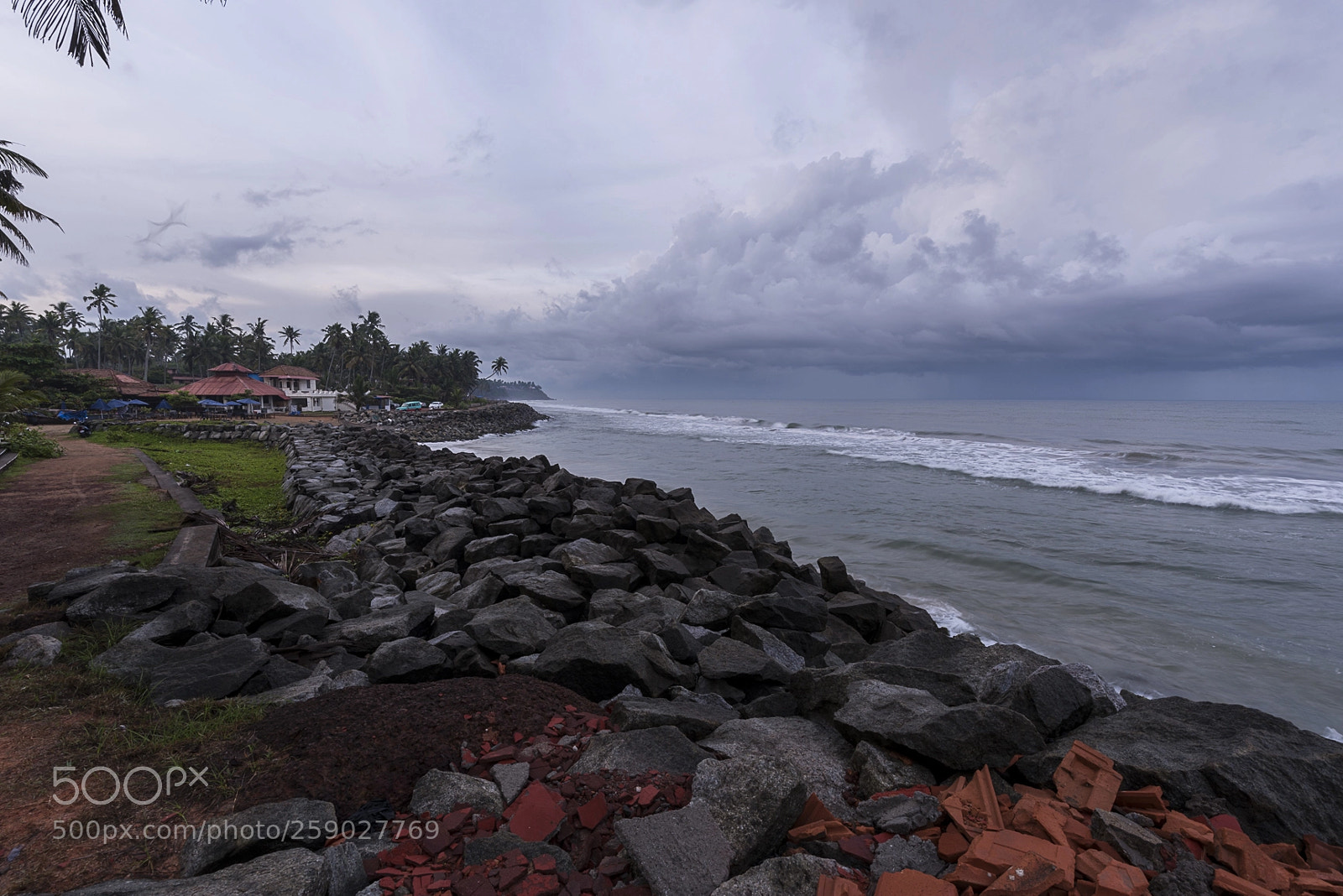 Nikon D810 sample photo. Untitled photography