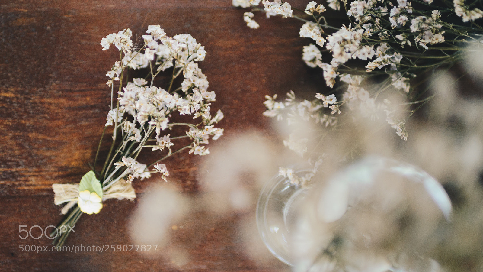 Nikon D7000 sample photo. Gypsophila photography