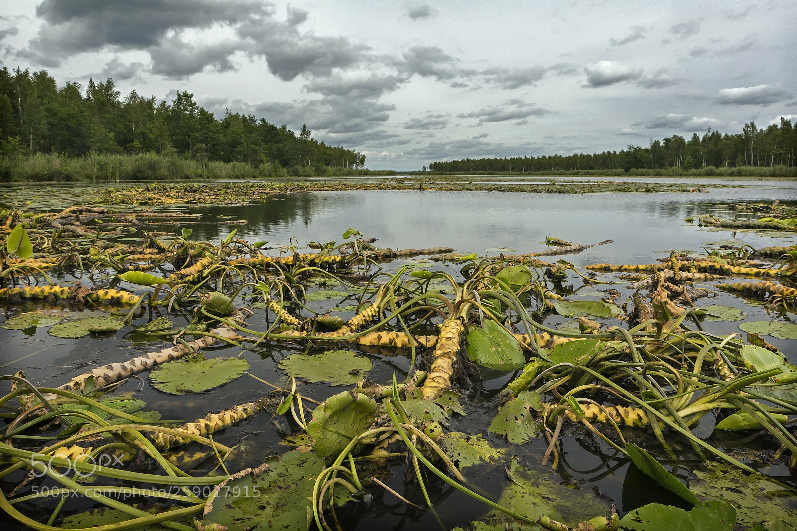 Canon EOS 60D sample photo. Buzyanka river photography
