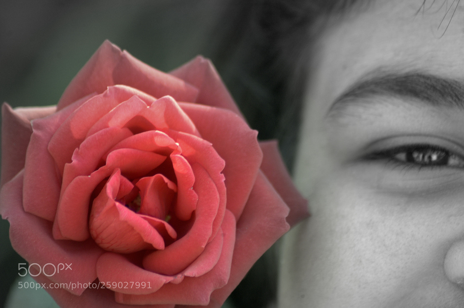 Nikon D70s sample photo. Nef photography