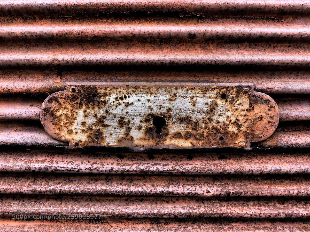 Olympus OM-D E-M5 II sample photo. Duo de rouille photography