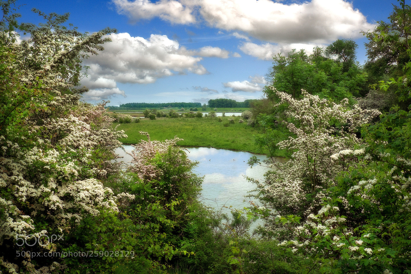Fujifilm X-T1 sample photo. Dijkwater photography