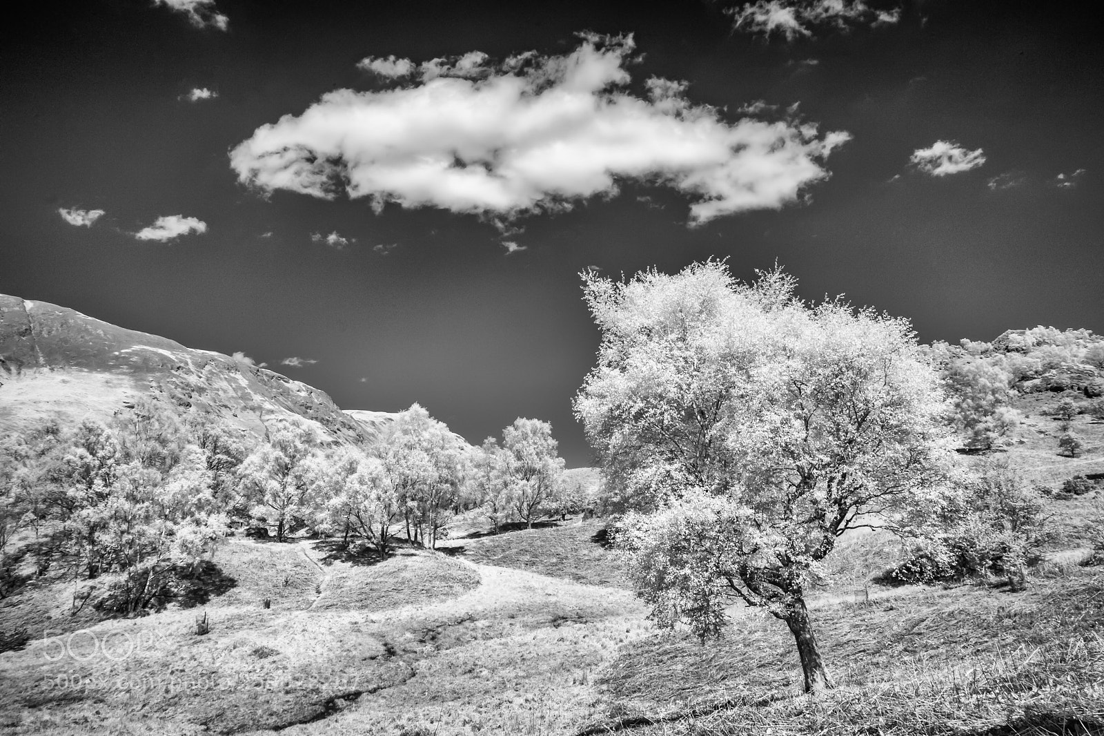 Canon EOS 5D Mark II sample photo. Hidden valley ir photography