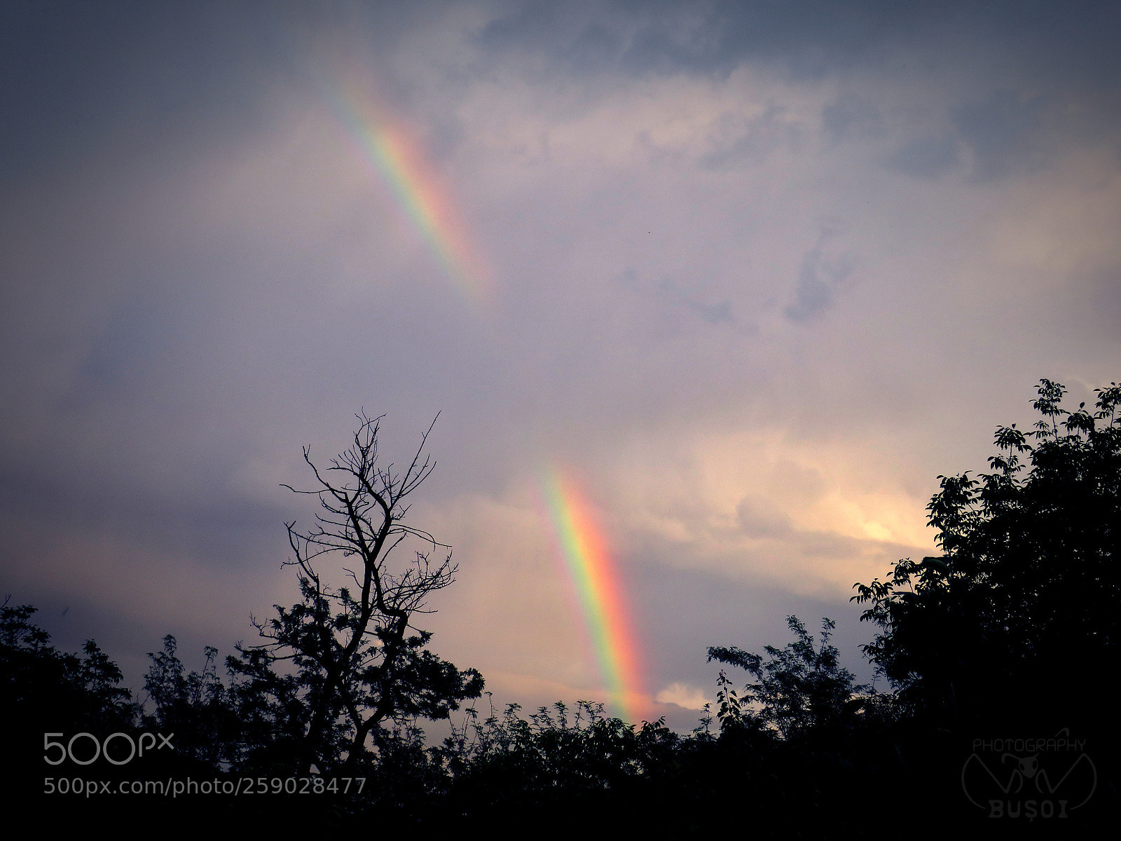 Canon PowerShot SX540 HS sample photo. Rainbow_2 photography