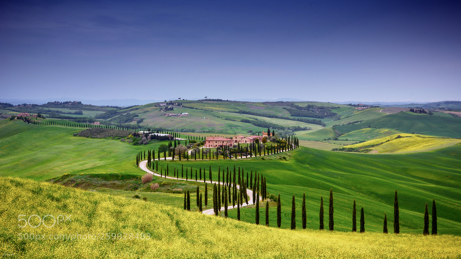Nikon D7100 sample photo. Baccoleno photography