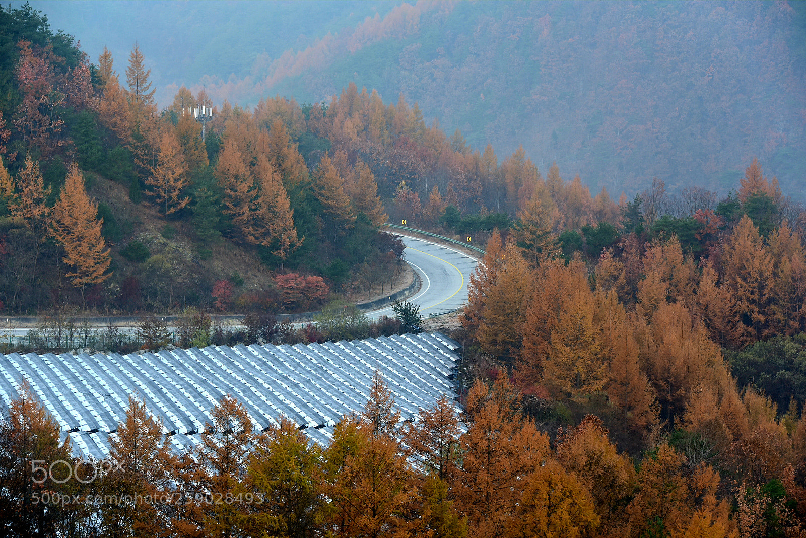 Nikon D750 sample photo. * have gone ( ii ) photography