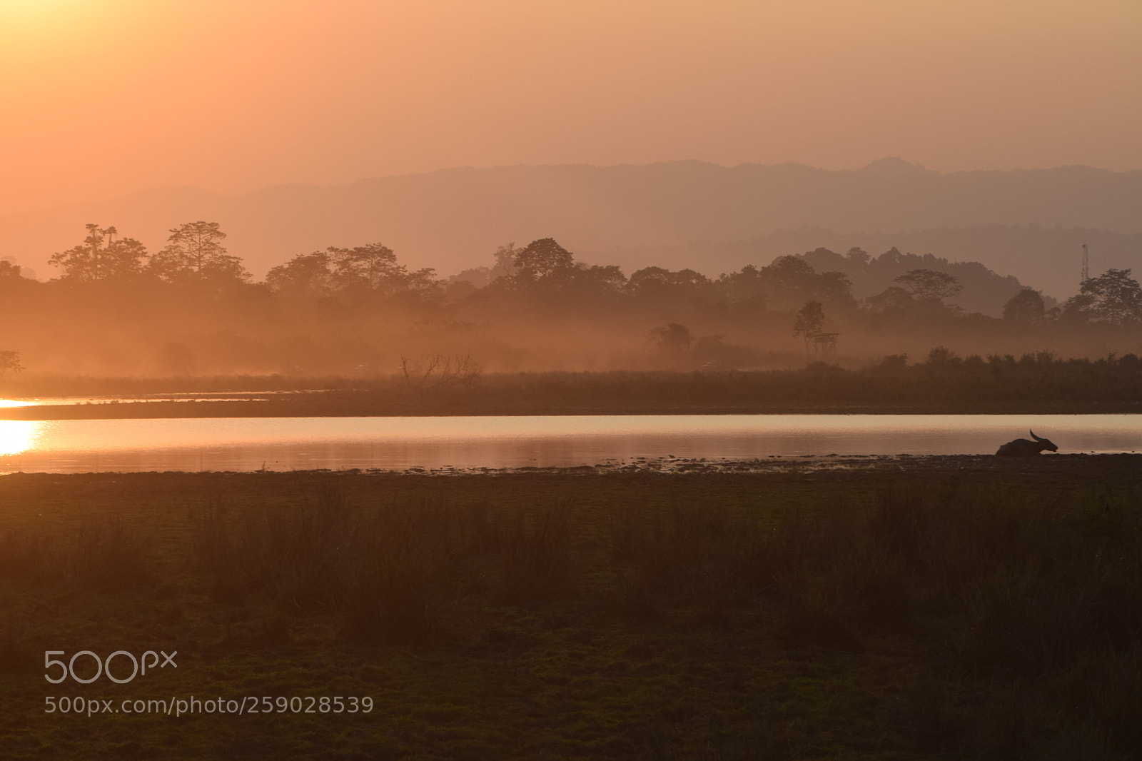 Nikon D3300 sample photo. Dawn photography