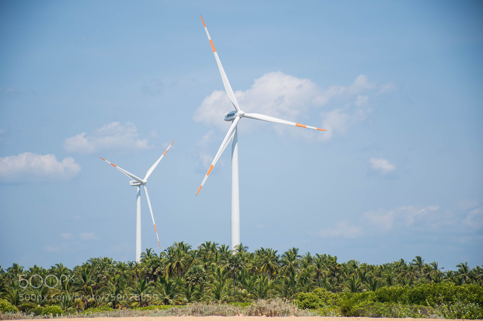 Nikon D7500 sample photo. Wind power photography