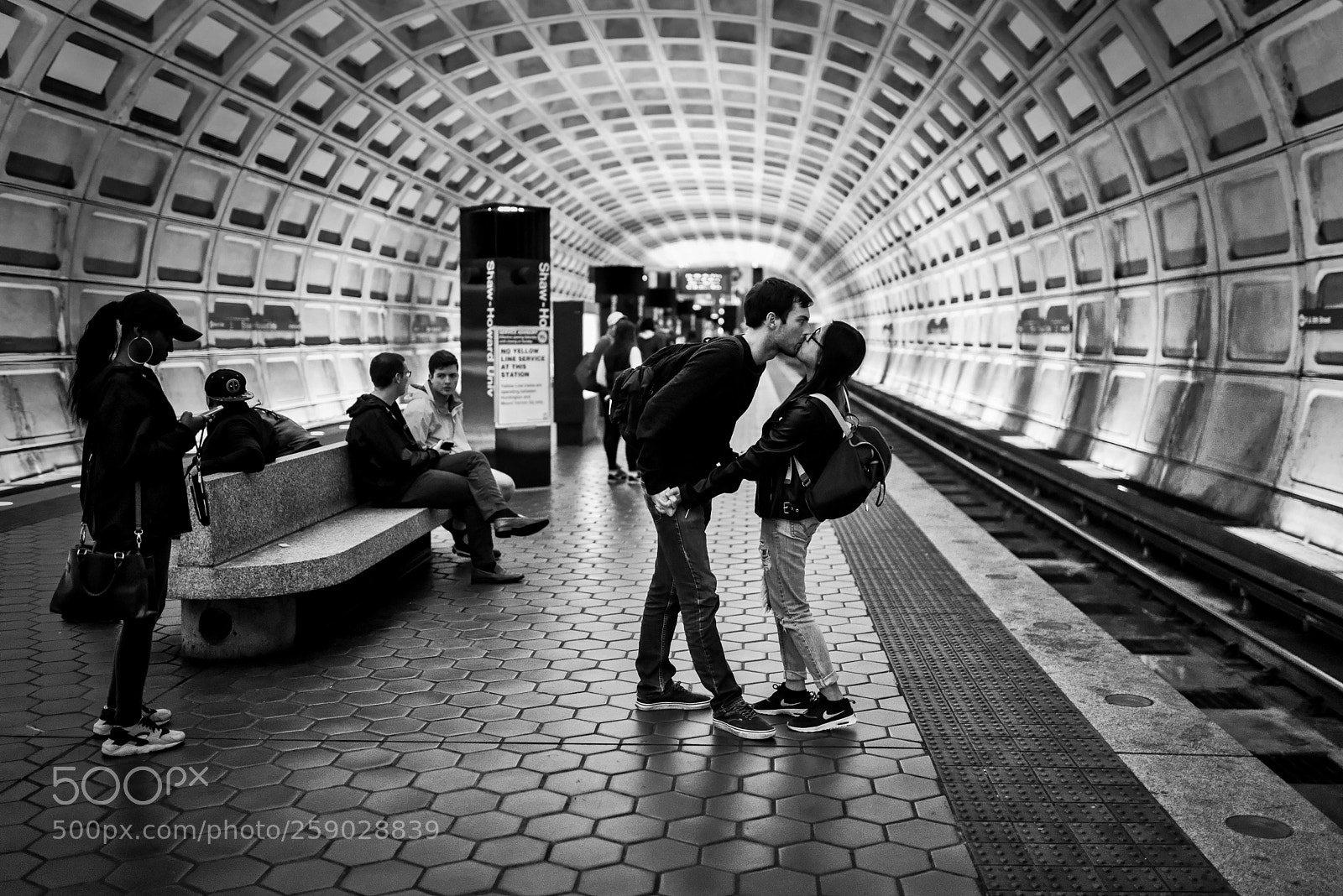 Nikon D750 sample photo. A kiss photography